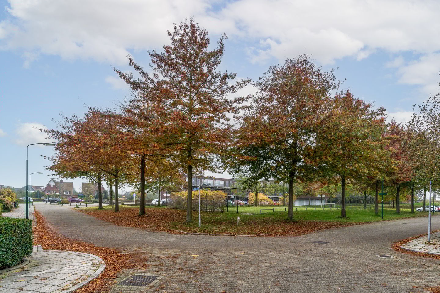 Foto 40 van Zonnehout 51