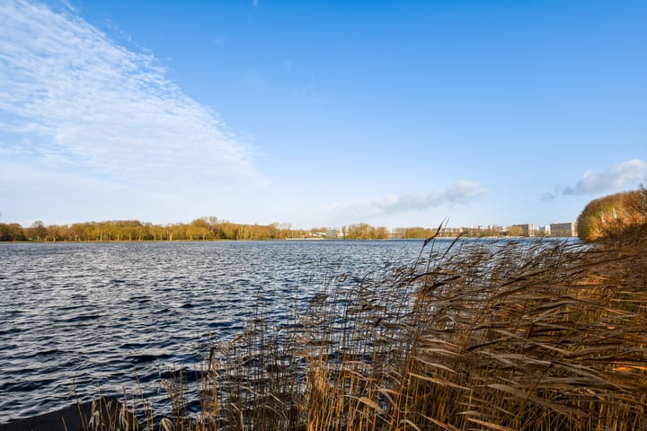 Foto 20 van Ward Bingleystraat 71