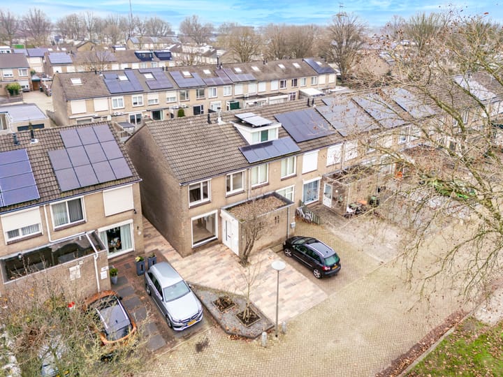 Foto 1 van Goudplevier 97