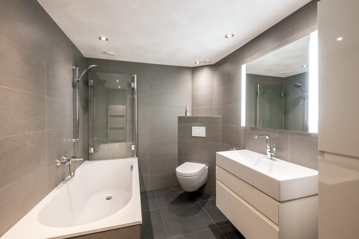 Foto 3 van Goudplevier 97