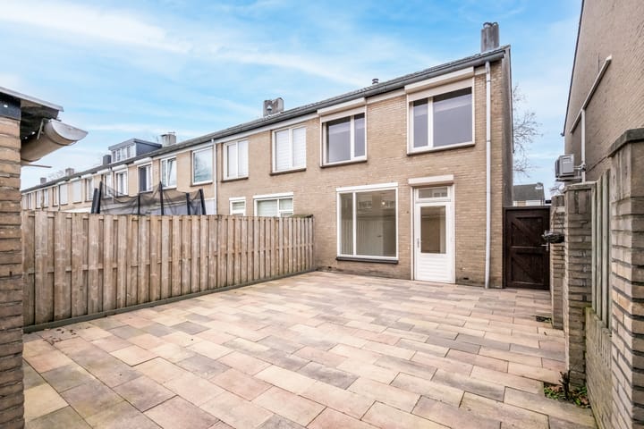 Foto 4 van Goudplevier 97