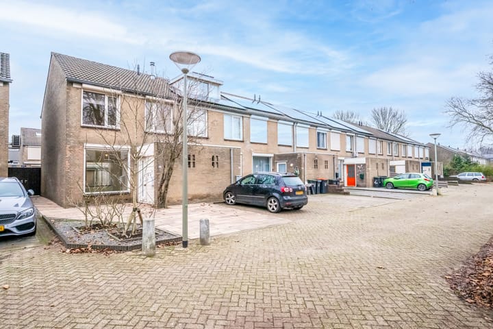 Foto 5 van Goudplevier 97