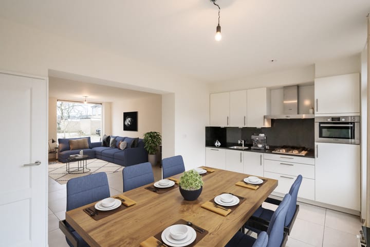 Foto 9 van Goudplevier 97