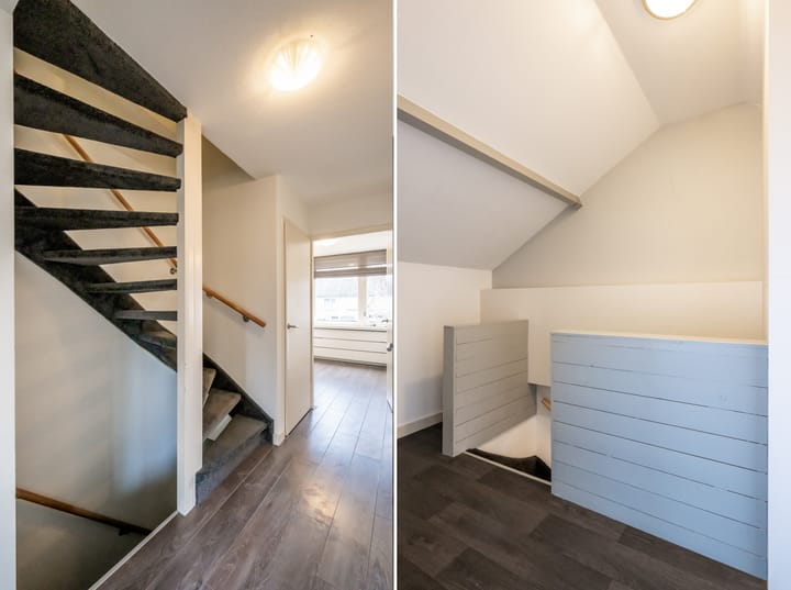 Foto 10 van Goudplevier 97