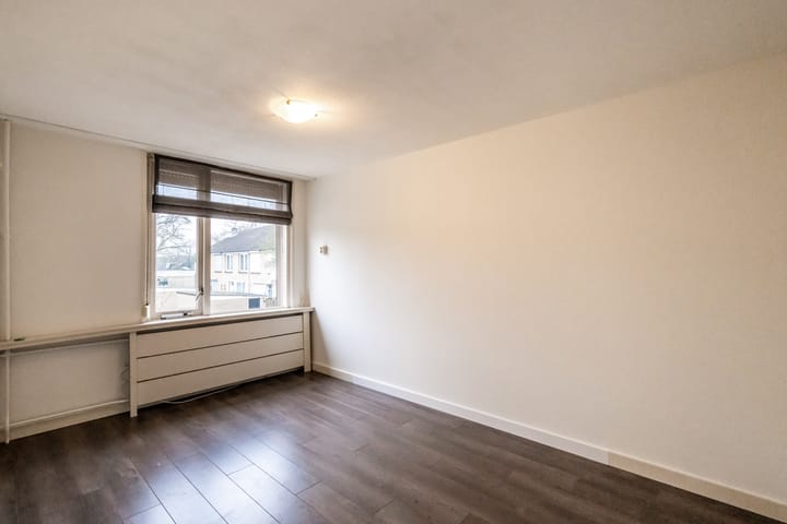 Foto 12 van Goudplevier 97