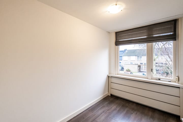 Foto 13 van Goudplevier 97