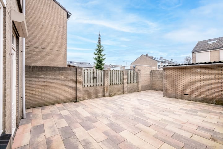 Foto 18 van Goudplevier 97