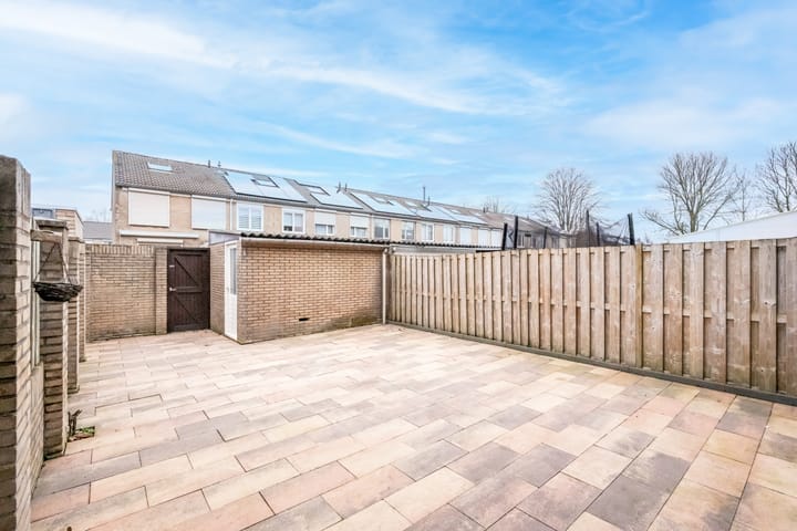 Foto 19 van Goudplevier 97