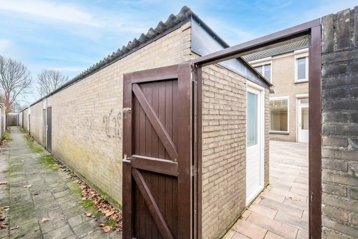 Foto 20 van Goudplevier 97