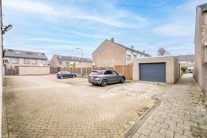 Foto 21 van Goudplevier 97