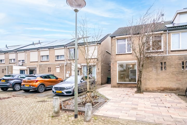 Foto 22 van Goudplevier 97