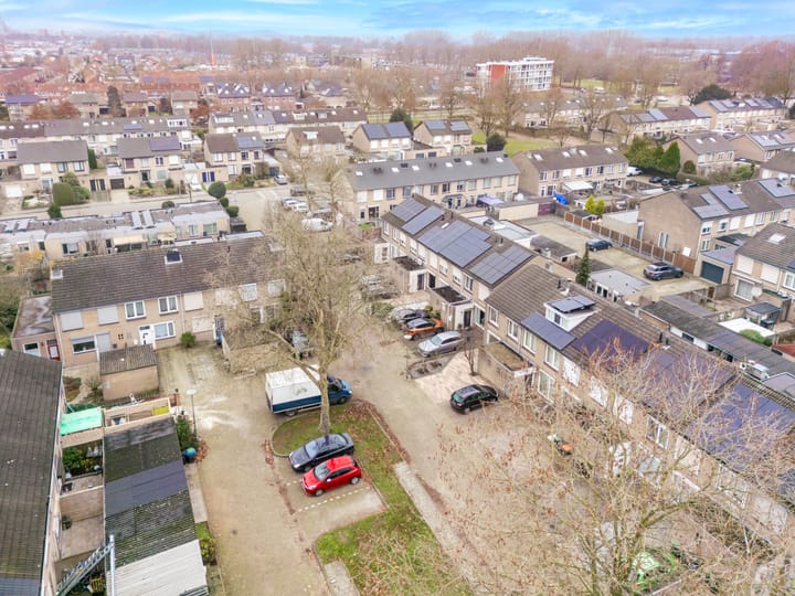 Foto 23 van Goudplevier 97