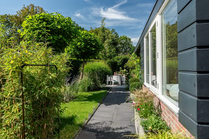 Foto 6 van Zwanebloem 5