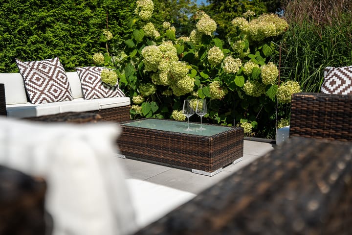 Foto 31 van Zwanebloem 5