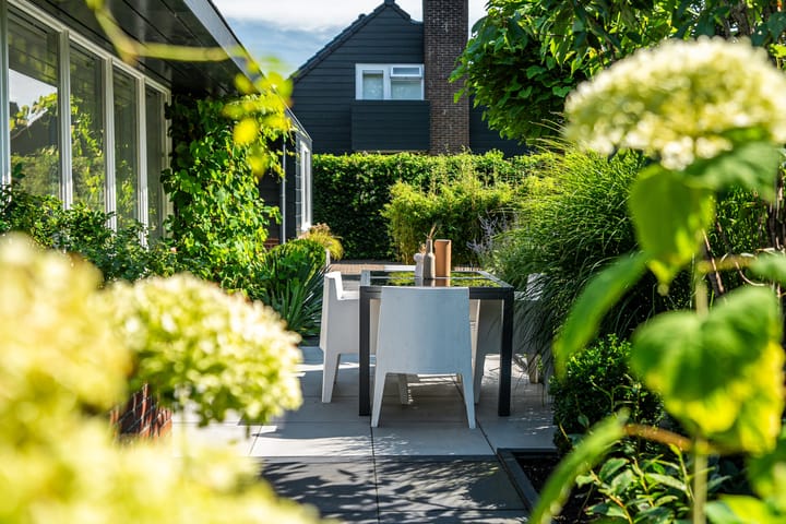 Foto 34 van Zwanebloem 5