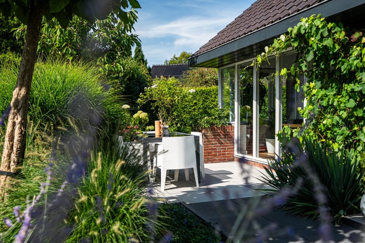 Foto 35 van Zwanebloem 5