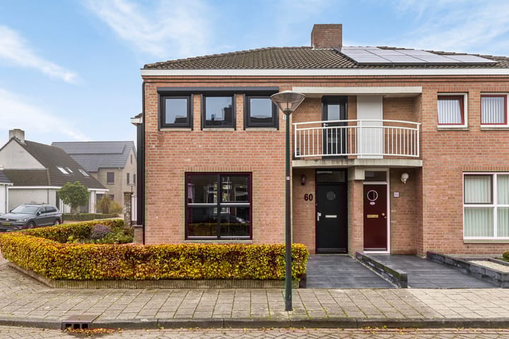 Foto 4 van Hanendijk 60