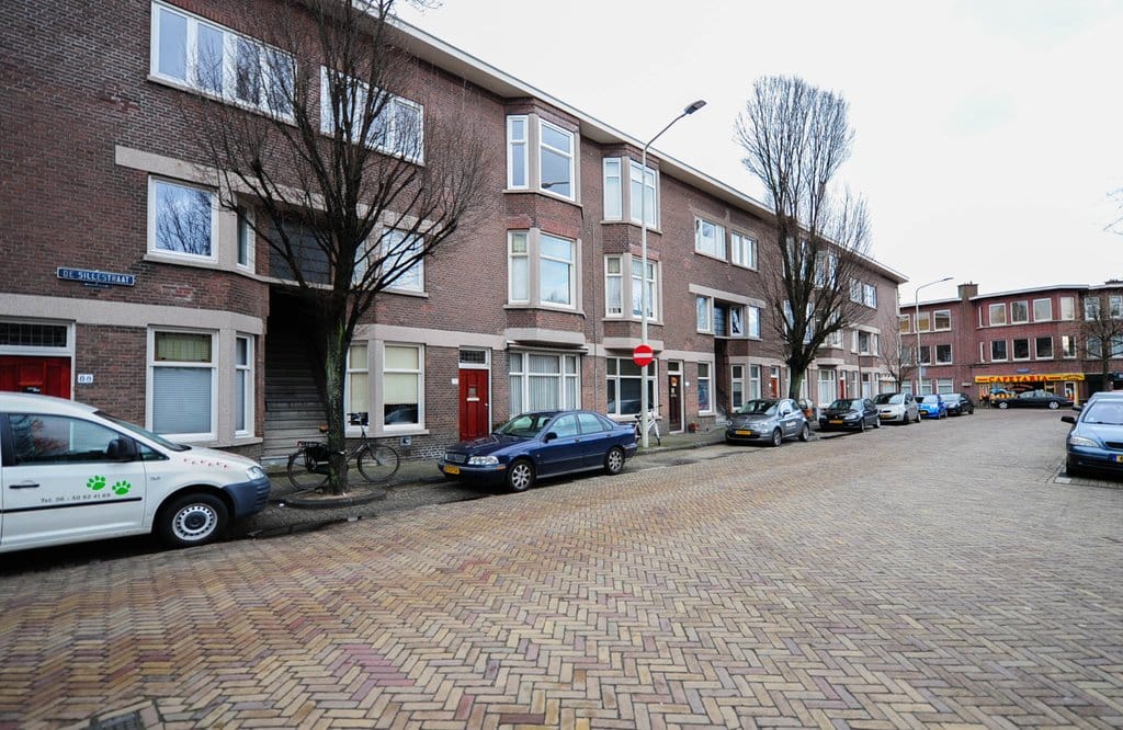 Foto 26 van De Sillestraat 94