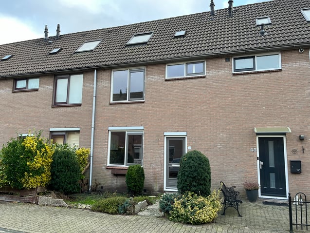 undefined main image