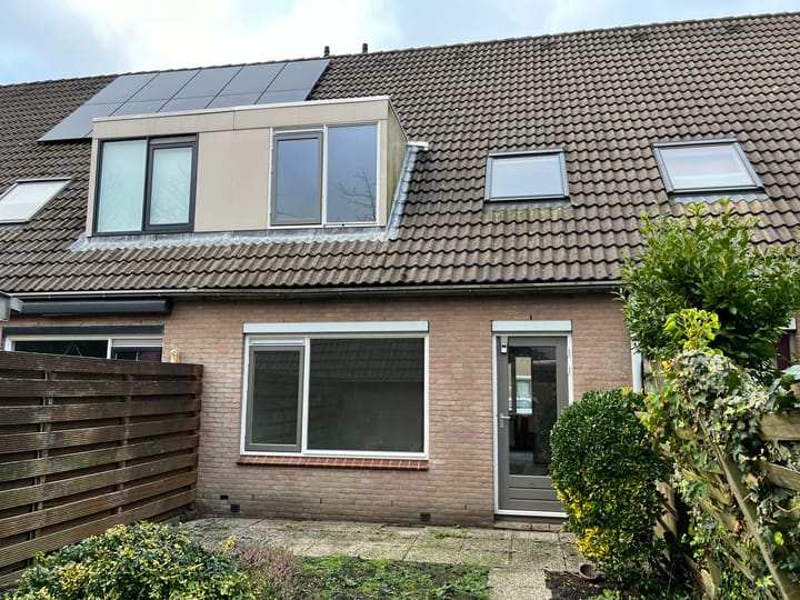 Foto 2 van Pinksterbloem 43