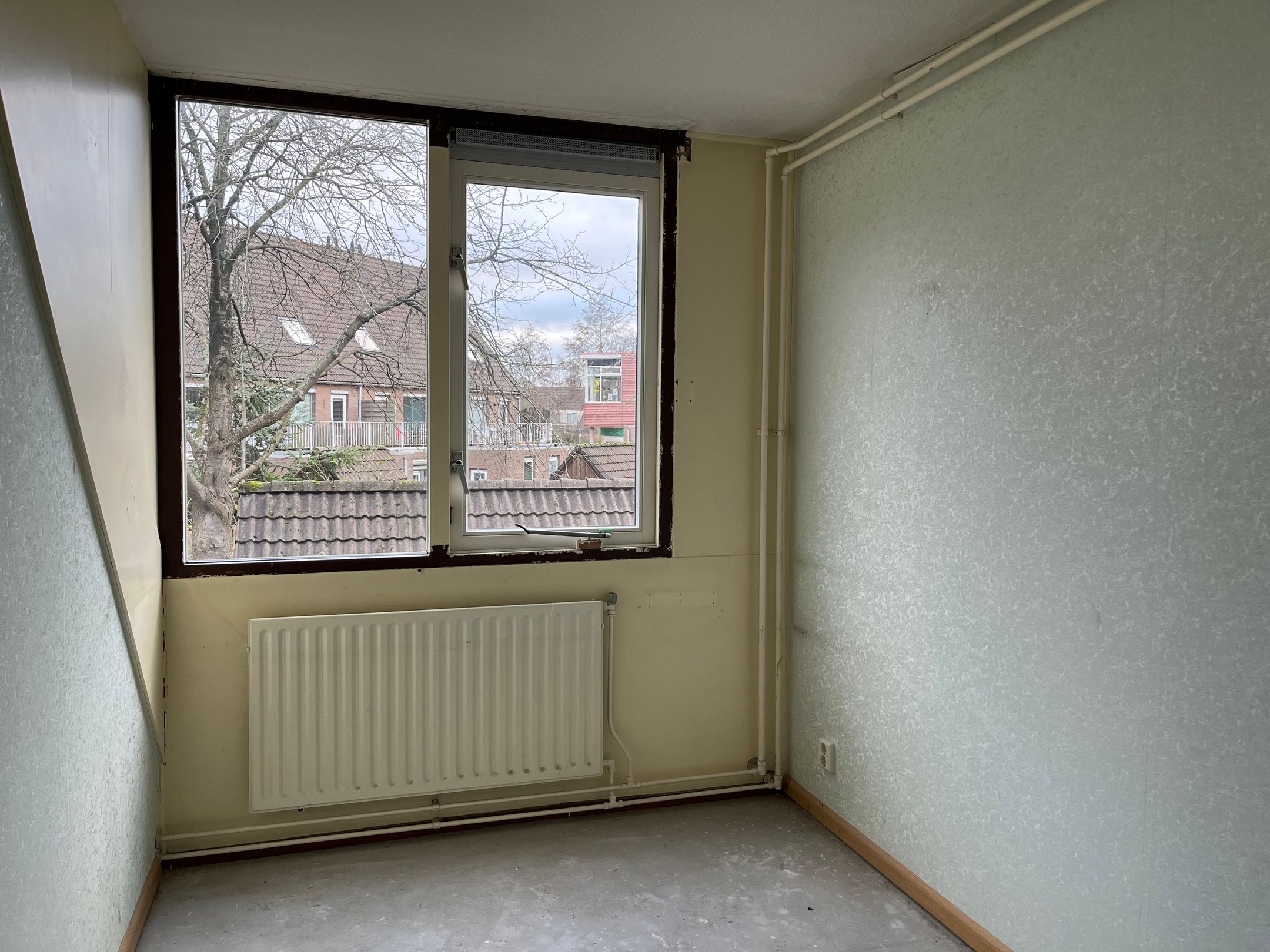 Foto 9 van Pinksterbloem 43