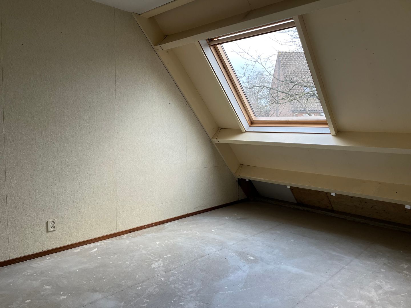 Foto 10 van Pinksterbloem 43