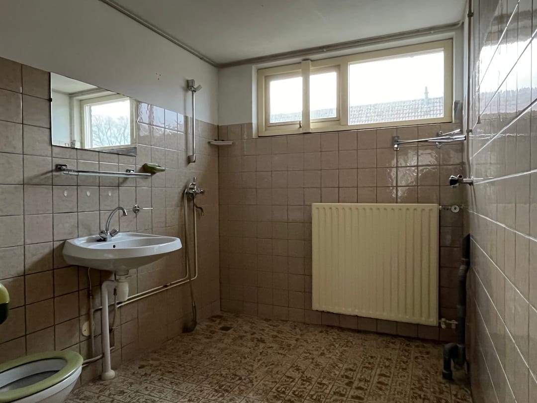 Foto 11 van Pinksterbloem 43