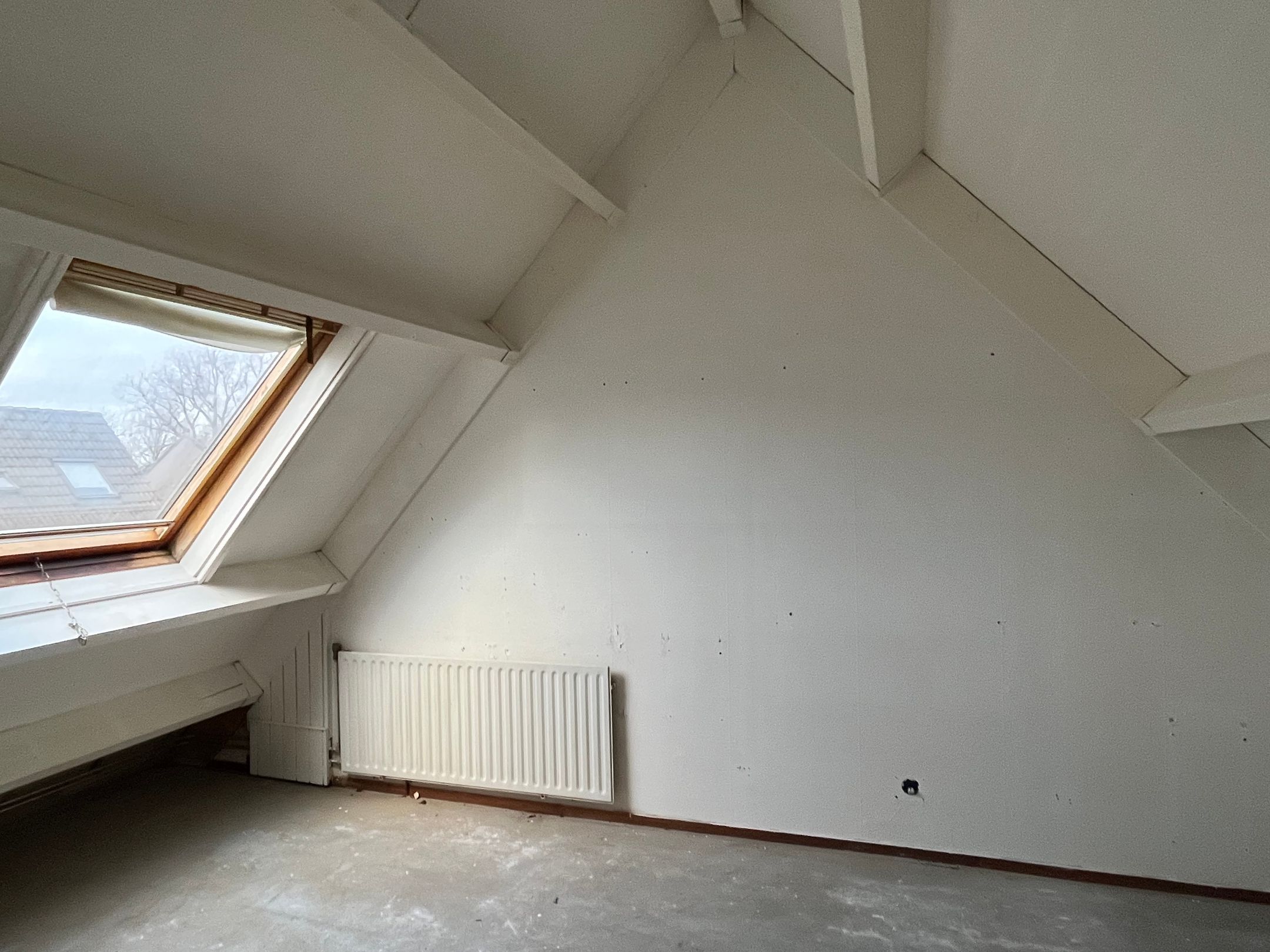 Foto 12 van Pinksterbloem 43