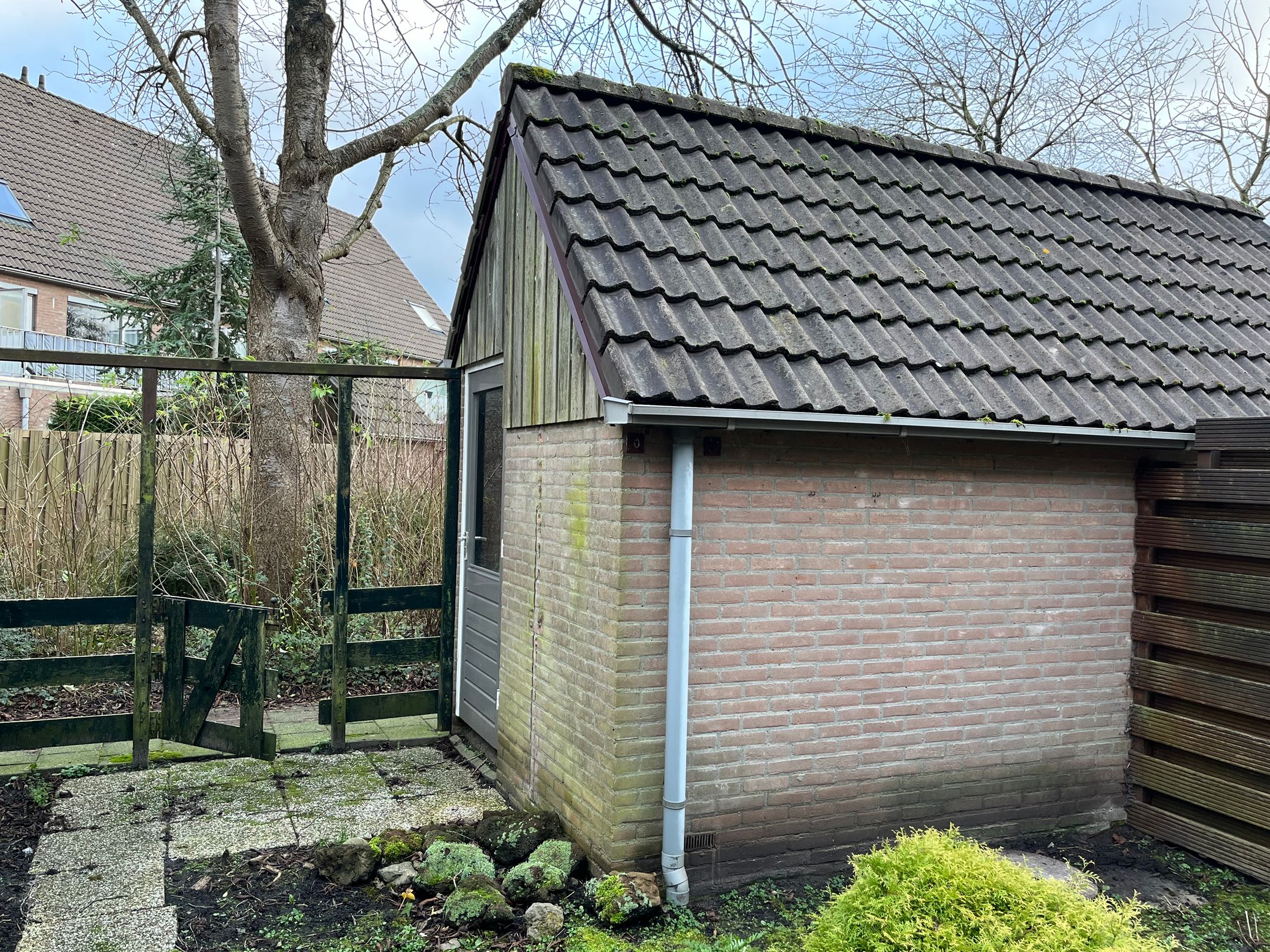 Foto 15 van Pinksterbloem 43