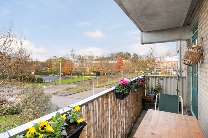 Foto 5 van Boisotstraat 46