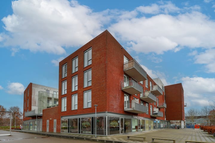 Foto 24 van El Grecostraat 199