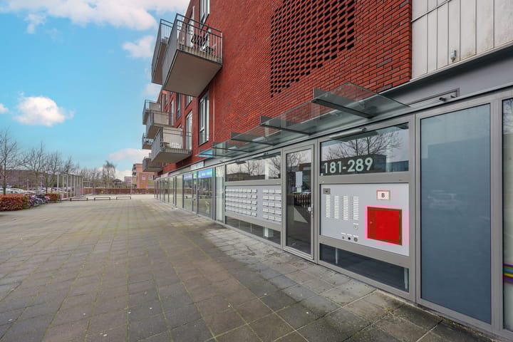 Foto 26 van El Grecostraat 199