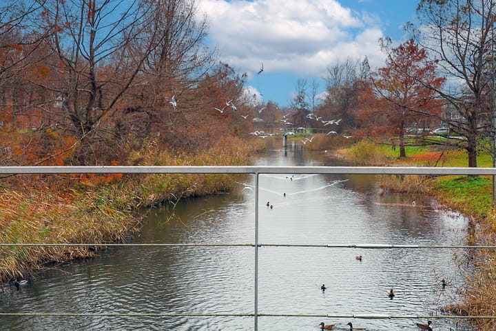 Foto 27 van El Grecostraat 199