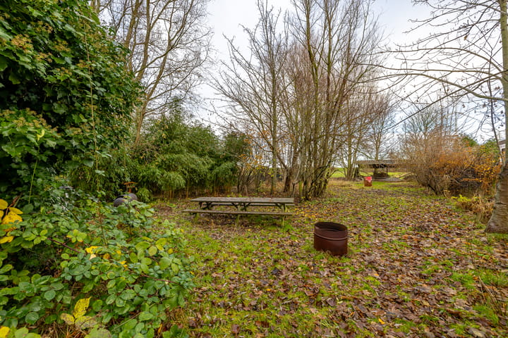 Foto 5 van Molenweg 19