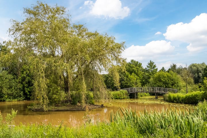 Foto 42 van Mosterdveld 2