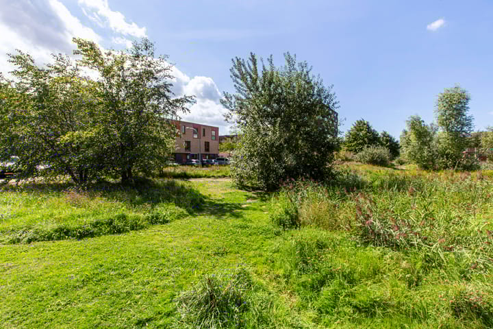 Photo 39 of Johan de Wittstraat 147