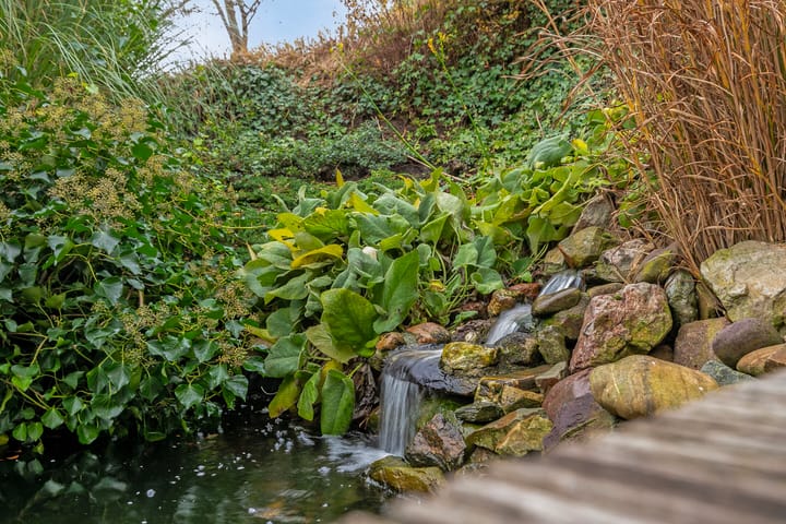 Foto 41 van IJsseldijk-Noord 414