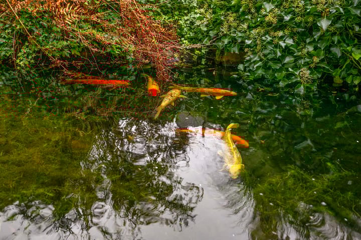 Foto 42 van IJsseldijk-Noord 414