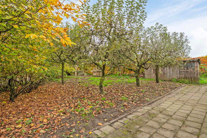 Foto 40 van Provincialeweg 52