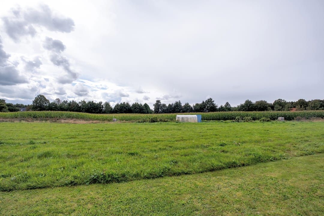 Photo 62 of Boekweitstraat 5