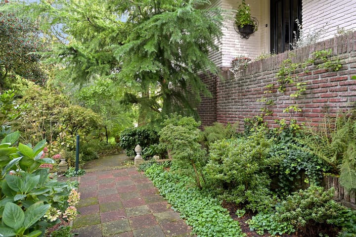 Foto 33 van Prins van Wiedlaan 22