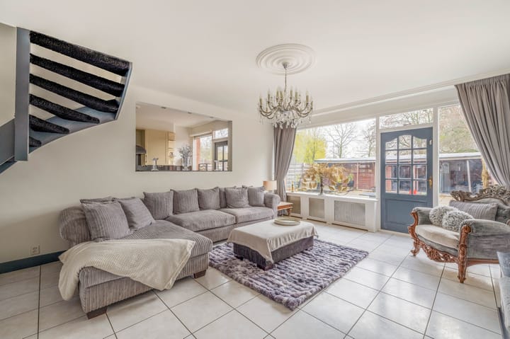 Foto 2 van Kogeldistel 2