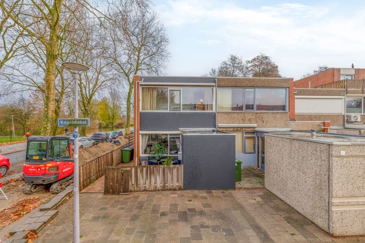 Foto 4 van Kogeldistel 2