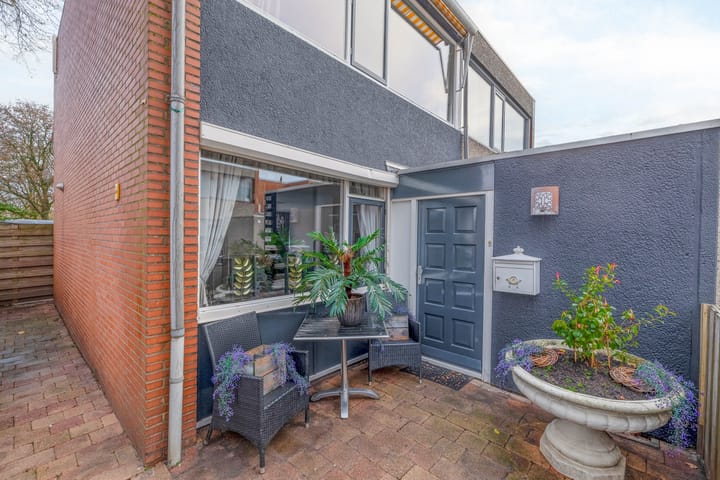 Foto 5 van Kogeldistel 2