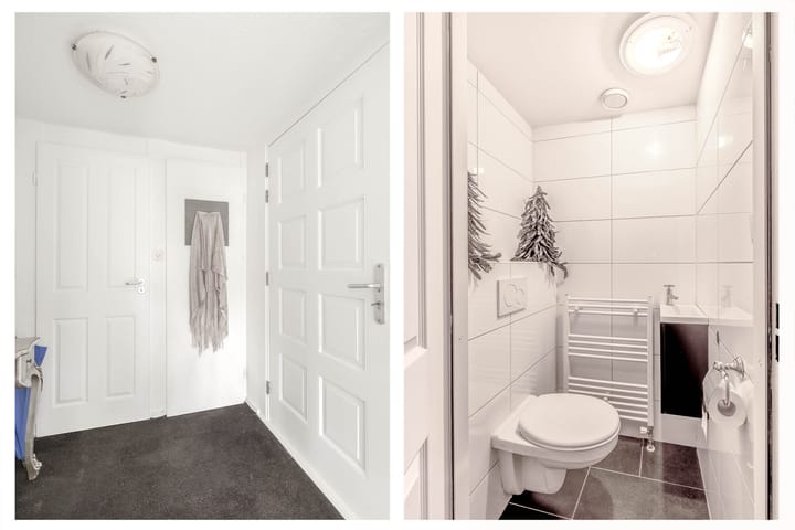 Foto 7 van Kogeldistel 2