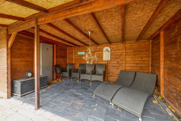 Foto 17 van Kogeldistel 2