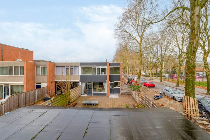 Foto 18 van Kogeldistel 2