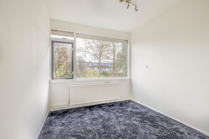 Foto 19 van Kogeldistel 2