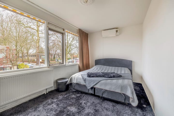 Foto 20 van Kogeldistel 2