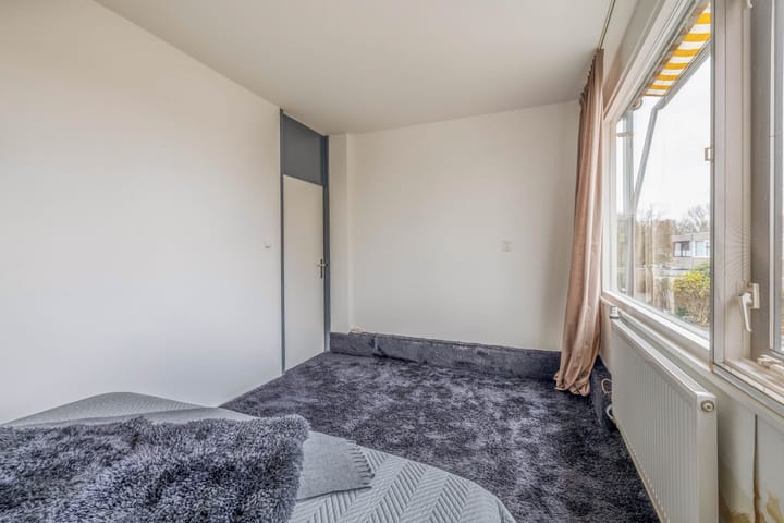 Foto 21 van Kogeldistel 2